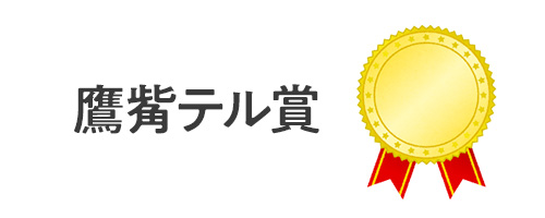 鷹觜テル賞