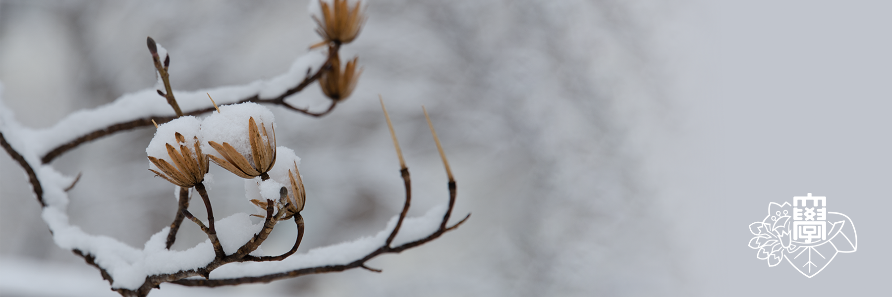 岩手大学ダイバーシティ推進室